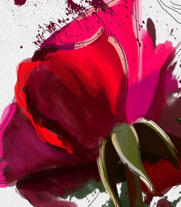 نقاشی گل سرخ