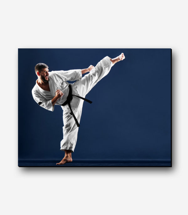 تابلو عکس کاراته کیوکوشین