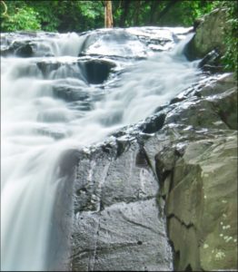 تابلو عکس جنگل و آبشار