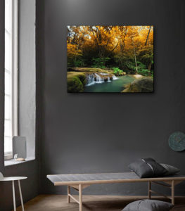 نابلو عکس طبیعت خزان