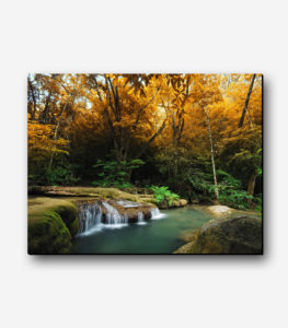 نابلو عکس طبیعت خزان