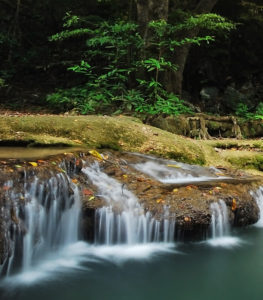 نابلو عکس طبیعت خزان