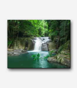 تابلو عکس جنگل و آبشار